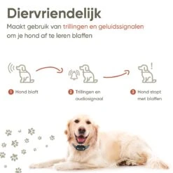 Premium Anti Blafband Apparaat Om Je Hond Snel En Effectief Te Laten Stoppen Met Blaffen - Diervriendelijke Opvoedingshalsband Zonder Schok - Trainingshalsband Voor Grote En Kleine Honden - Anti Blaf Apparaat - Correctie Halsband -Hondenartikelen Winkel 1200x1200 1217