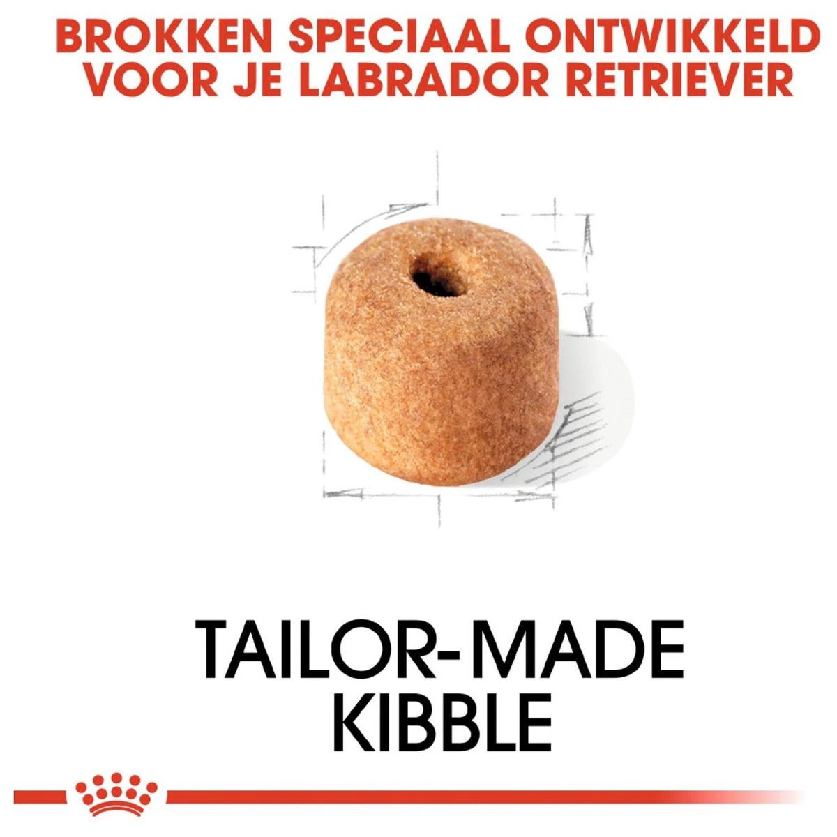 Royal Canin Labrador Retriever Adult 12 KG 4 Royal Canin Labrador Retriever Adult 12 KG - Afbeelding 4