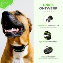 Petz - Anti Blafband - Anti Blafband Voor Kleine En Grote Honden - 5-55 KG - Vibratie En Audio - Diervriendelijk - GEEN Schokken - Opvoedingshalsband Zonder Schok En Diervriendelijk - Waterdicht - Oplaadbaar -Hondenartikelen Winkel 1200x1200 1244