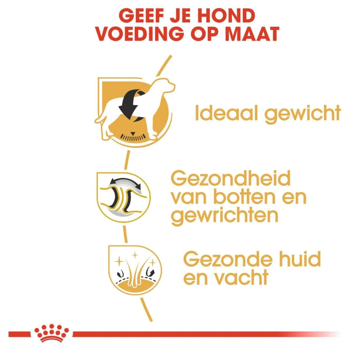 Royal Canin Labrador Retriever Adult 12 KG 5 Royal Canin Labrador Retriever Adult 12 KG - Afbeelding 5