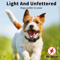 NIIYEBU Anti Blafband - Blafbanden Voor Honden - Anti Blaf Apparaat - Diervriendelijk - Zonder Schok - Vibratie En Audio -Hondenartikelen Winkel 1200x1200 1252