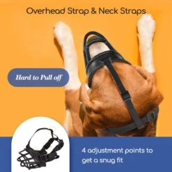 Nobleza Muilkorf Hond - Snuitomtrek 33 - Maat L - Zwart -Hondenartikelen Winkel 1200x1200 1314