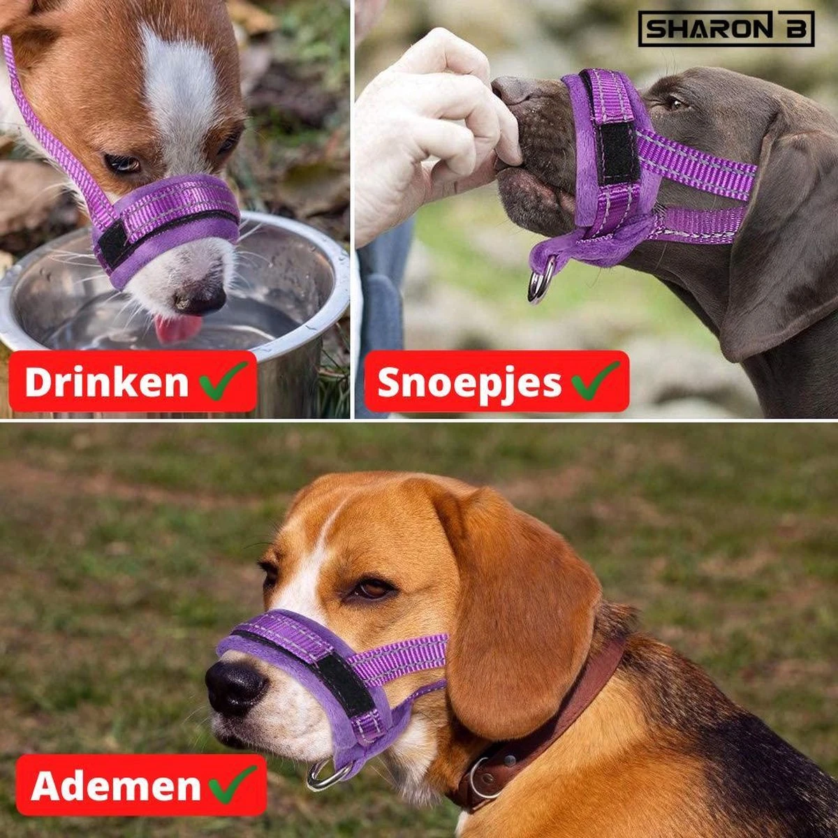 Sharon B Muilkorf Paars Maat M - Fleece - Wasbaar - Reflecterend 5 Sharon B Muilkorf Paars Maat M - Fleece - Wasbaar - Reflecterend - Afbeelding 5