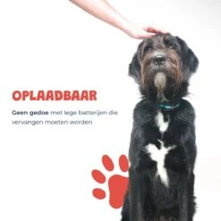 Anti Blafband - Blafband Voor Honden - Oplaadbaar - Anti Blaf Apparaat - Blafband - Diervriendelijk -Hondenartikelen Winkel 1200x1200 1346