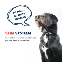 Anti Blafband - Blafband Voor Honden - Oplaadbaar - Anti Blaf Apparaat - Blafband - Diervriendelijk -Hondenartikelen Winkel 1200x1200 1350