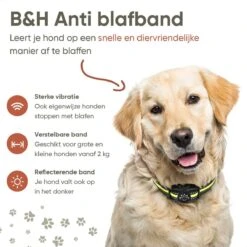 Premium Anti Blafband - Diervriendelijke Opvoedingshalsband Zonder Schok - Trainingshalsband Voor Grote En Kleine Honden - Anti Blaf Band - Correctie Halsband -Hondenartikelen Winkel 1200x1200 1364