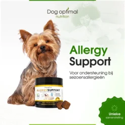 DOG OPTIMAL ANTI ALLERGY SUPPORT 120 Stuks - Allergie - Honden - Hondensnacks - Hondenkoekjes - Hondensupplementen - Honden - Puppy - Hondenvoeding - Weerstand - Jeuk-hond - Jeuk 13 DOG OPTIMAL ANTI ALLERGY SUPPORT 120 Stuks - Allergie - Honden - Hondensnacks - Hondenkoekjes - Hondensupplementen - Honden - Puppy - Hondenvoeding - Weerstand - Jeuk-hond - Jeuk -Hondenartikelen Winkel 1200x1200 137