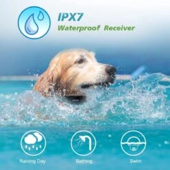 Anti Blafband EN Trainingshalsband In 1 - UNIEK SYSTEEM - 1000m Bereik - 100 Levels - Trainingsband - Antiblafband - Geluid En Vibratie/trilling - Grote En Kleine Honden - Waterdicht - Incl. E-book -Hondenartikelen Winkel 1200x1200 1372