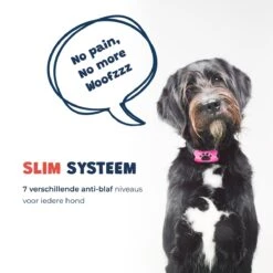 Anti Blafband - Blafband Voor Honden - Anti Blaf Apparaat - Blafband - Diervriendelijk & Zonder Schok 14 Anti Blafband - Blafband Voor Honden - Anti Blaf Apparaat - Blafband - Diervriendelijk & Zonder Schok -Hondenartikelen Winkel 1200x1200 1376
