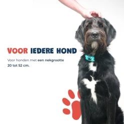 Anti Blafband - Blafband Voor Honden - Anti Blaf Apparaat - Blafband - Diervriendelijk & Zonder Schok 16 Anti Blafband - Blafband Voor Honden - Anti Blaf Apparaat - Blafband - Diervriendelijk & Zonder Schok -Hondenartikelen Winkel 1200x1200 1378