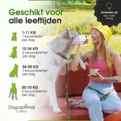 DOG OPTIMAL ANTI ALLERGY SUPPORT 120 Stuks - Allergie - Honden - Hondensnacks - Hondenkoekjes - Hondensupplementen - Honden - Puppy - Hondenvoeding - Weerstand - Jeuk-hond - Jeuk 14 DOG OPTIMAL ANTI ALLERGY SUPPORT 120 Stuks - Allergie - Honden - Hondensnacks - Hondenkoekjes - Hondensupplementen - Honden - Puppy - Hondenvoeding - Weerstand - Jeuk-hond - Jeuk -Hondenartikelen Winkel 1200x1200 138
