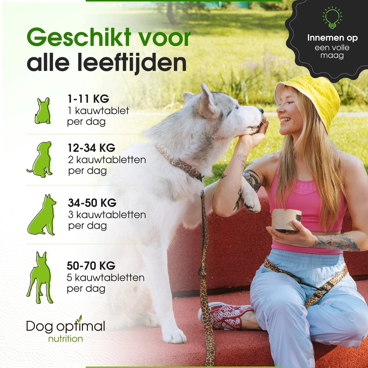 DOG OPTIMAL ANTI ALLERGY SUPPORT 120 Stuks - Allergie - Honden - Hondensnacks - Hondenkoekjes - Hondensupplementen - Honden - Puppy - Hondenvoeding - Weerstand - Jeuk-hond - Jeuk 7 DOG OPTIMAL ANTI ALLERGY SUPPORT 120 Stuks - Allergie - Honden - Hondensnacks - Hondenkoekjes - Hondensupplementen - Honden - Puppy - Hondenvoeding - Weerstand - Jeuk-hond - Jeuk - Afbeelding 7