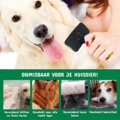 Mister Mill Professionele Set Honden Kattenborstel - Ondervachtkam Plus Slickerborstel -Hondenartikelen Winkel 1200x1200 1396