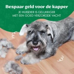 Mister Mill Professionele Set Honden Kattenborstel - Ondervachtkam Plus Slickerborstel -Hondenartikelen Winkel 1200x1200 1400