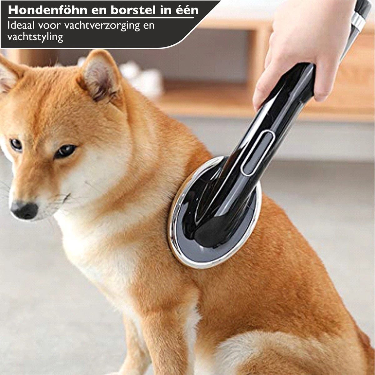 RoiPets® Hondenfohn 2 In 1 – 1000W - Honden Droger – Met Borstel - Waterblazer - Haar Verzorging - Honden Borstel Zwart - Honden/Katten/Dieren 5 RoiPets® Hondenfohn 2 In 1 – 1000W - Honden Droger – Met Borstel - Waterblazer - Haar Verzorging - Honden Borstel Zwart - Honden/Katten/Dieren - Afbeelding 5