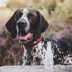 Hondenparfum Spray In 4 Geuren - Greenfields - Alchoholvrije En PH Neutrale Formule Tegen Onaangename Geurtjes - 50ml - Exotic -Hondenartikelen Winkel 1200x1200 1431