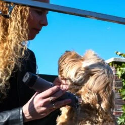 Clipr Ultimate 2-speed Hondentondeuse Op Accu 11 Clipr Ultimate 2-speed Hondentondeuse Op Accu -Hondenartikelen Winkel 1200x1200 1434