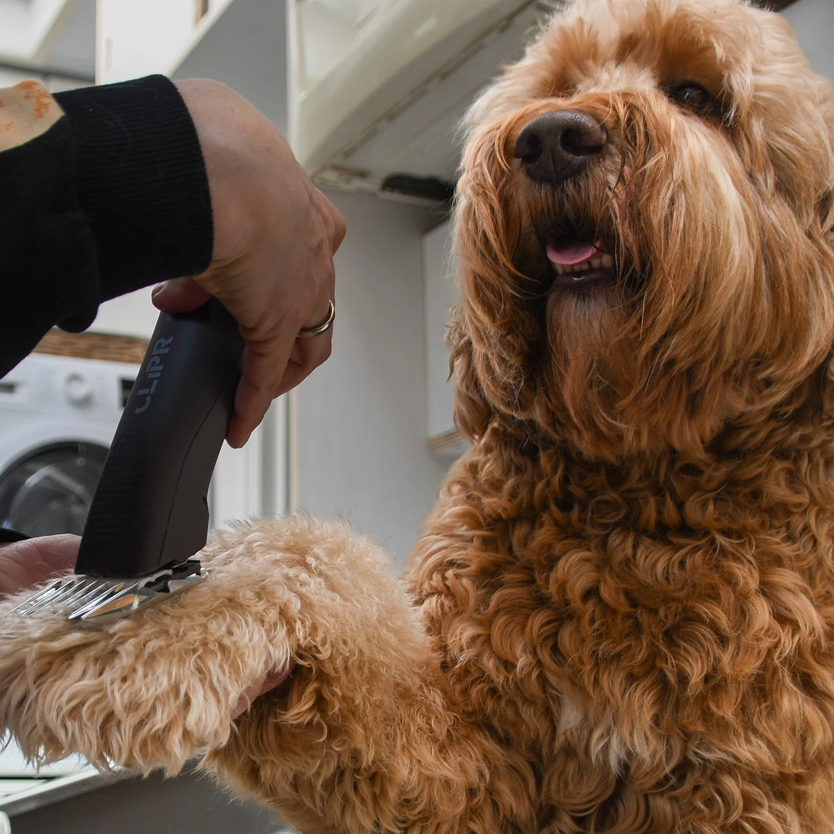 Clipr Ultimate 2-speed Hondentondeuse Op Accu 5 Clipr Ultimate 2-speed Hondentondeuse Op Accu - Afbeelding 5