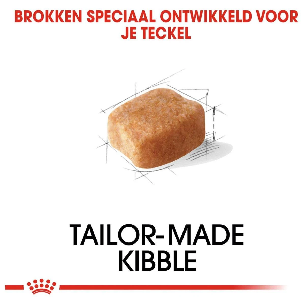 Royal Canin Dachshund/Teckel Adult 7.5 KG 3 Royal Canin Dachshund/Teckel Adult 7.5 KG - Afbeelding 3