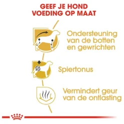 Royal Canin Dachshund/Teckel Adult 7.5 KG 17 Royal Canin Dachshund/Teckel Adult 7.5 KG -Hondenartikelen Winkel 1200x1200 148