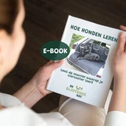 De Blaffende Kat Wasdrogerbollen - Droger Ballen - Huisdier Haarverwijderaar - 4 Wasbollen Voor Wasmachine En Droger -Hondenartikelen Winkel 1200x1200 1495