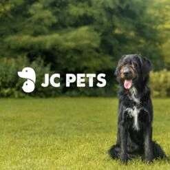 JC Pets Premium Pluizenborstel - Huisdierhaar Verwijderaar – Pluizenverwijderaar – Honden En Kattenhaar Verwijderaar - Ontpluizer - Pluizenroller -Hondenartikelen Winkel 1200x1200 1536