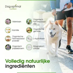 RUST EN KALMEREN CALMING Support 90 Stuks - Kalmeren - Antistressmiddel - Hond - Hondenkoekjes - Hondensupplementen - Honden - Puppy - Hondenvoeding -Hondenartikelen Winkel 1200x1200 157