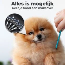 VoordeelShop 7-Delige Huisdier Knipset Met Etui - Trimmen Hond - Honden Schaar - Effileerschaar Hond - Huisdier Trimmer - Huisdier Knippen - Knipschaar Haar - Haar Schaar - Kapper - Kapperset - Scharenset -Hondenartikelen Winkel 1200x1200 1612