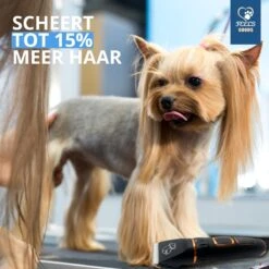 YE™ Professionele Dieren/honden Tondeuse Set Extra Krachtig - Honden Trimmer - Lang Of Kortharige Huisdieren Katten & Honden - Draadloos - Weinig Geluid 10 YE™ Professionele Dieren/honden Tondeuse Set Extra Krachtig - Honden Trimmer - Lang Of Kortharige Huisdieren Katten & Honden - Draadloos - Weinig Geluid -Hondenartikelen Winkel 1200x1200 1635