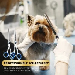 BeautyFit - 16-delig Hondentondeuse Set - Professionele Honden Trimset - Dieren Tondeuse Voor Dikke Vacht - Meest Complete Set - Inclusief 4 Opzetkammen - Hondenschaar - Mist Verstuiver - Handschoen Borstel - Nagelknipper -Hondenartikelen Winkel 1200x1200 1656