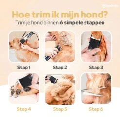 Woodoro Professionele 2-in-1 Hondentondeuse Voor Dikke Vacht – Draadloze Honden Tondeuse & Hondentrimmer – Stille Tondeuse Katten & Honden Trimset 16 Woodoro Professionele 2-in-1 Hondentondeuse Voor Dikke Vacht – Draadloze Honden Tondeuse & Hondentrimmer – Stille Tondeuse Katten & Honden Trimset -Hondenartikelen Winkel 1200x1200 1661