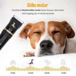 Loyalpetclub® Professionele 2-in-1 Hondentondeuse Voor Dikke Vacht – Draadloze Honden Tondeuse & Hondentrimmer – Stille Tondeuse Katten & Honden Trimset - Inclusief Opbergtasje 11 Loyalpetclub® Professionele 2-in-1 Hondentondeuse Voor Dikke Vacht – Draadloze Honden Tondeuse & Hondentrimmer – Stille Tondeuse Katten & Honden Trimset - Inclusief Opbergtasje -Hondenartikelen Winkel 1200x1200 1677