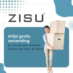 Hondentondeuse - Hondentrimmer - Dieren Tondeuse - Draadloos - 4 Opzetkammen - INCLUSIEF SNACKJE - Zwart -Hondenartikelen Winkel 1200x1200 1687