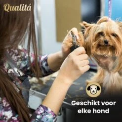 Merkloos Professionele Honden Tondeuse Set - Tondeuse Voor Huisdier Honden En Katten - Hondentrimmer - Hondentondeuse -Hondenartikelen Winkel 1200x1200 1695