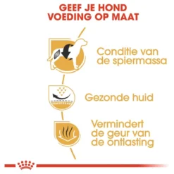 Royal Canin French Bulldog Adult 9 KG -Hondenartikelen Winkel 1200x1200 17