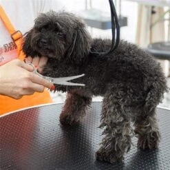 Merkloos Premium Gebogen Trimschaar Honden - Huisdier Trimmen - Hoofd, Poten Ogen & Oren - Kat & Hond Knippen - Veilige Schaar -Hondenartikelen Winkel 1200x1200 1700