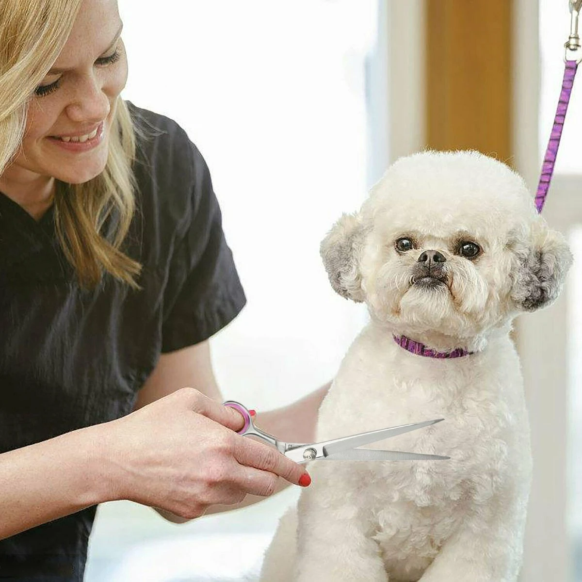 Professor Q - Hondenschaar Krom - Krommende Hondenschaar Links - Professionele Hondenschaar 1 Professor Q - Hondenschaar Krom - Krommende Hondenschaar Links - Professionele Hondenschaar