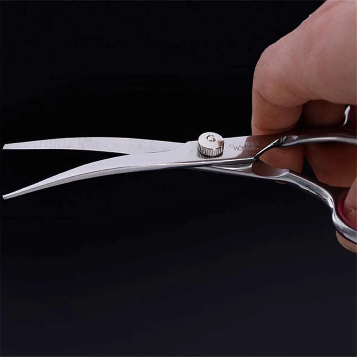 Professor Q - Hondenschaar Krom - Krommende Hondenschaar Links - Professionele Hondenschaar 2 Professor Q - Hondenschaar Krom - Krommende Hondenschaar Links - Professionele Hondenschaar - Afbeelding 2