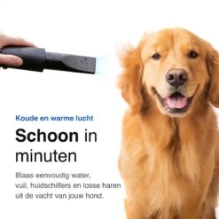 Vivid Green Waterblazer Met 3 Opzetstukken - Hondenfohn - Voor Honden - Met Geluiddemper - 2800W 16 Vivid Green Waterblazer Met 3 Opzetstukken - Hondenfohn - Voor Honden - Met Geluiddemper - 2800W -Hondenartikelen Winkel 1200x1200 1733