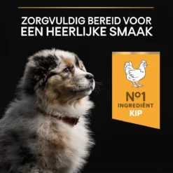 Pro Plan Healthy Start Puppy Medium - Honden Droogvoer - Kip - 12 Kg 26 Pro Plan Healthy Start Puppy Medium - Honden Droogvoer - Kip - 12 Kg -Hondenartikelen Winkel 1200x1200 175