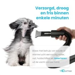 Qumax Professionele Hondenföhn Met 4 Opzetstukken – Waterblazer Voor Honden – Stil Design – Compact En Modern - Zwart 16 Qumax Professionele Hondenföhn Met 4 Opzetstukken – Waterblazer Voor Honden – Stil Design – Compact En Modern - Zwart -Hondenartikelen Winkel 1200x1200 1755