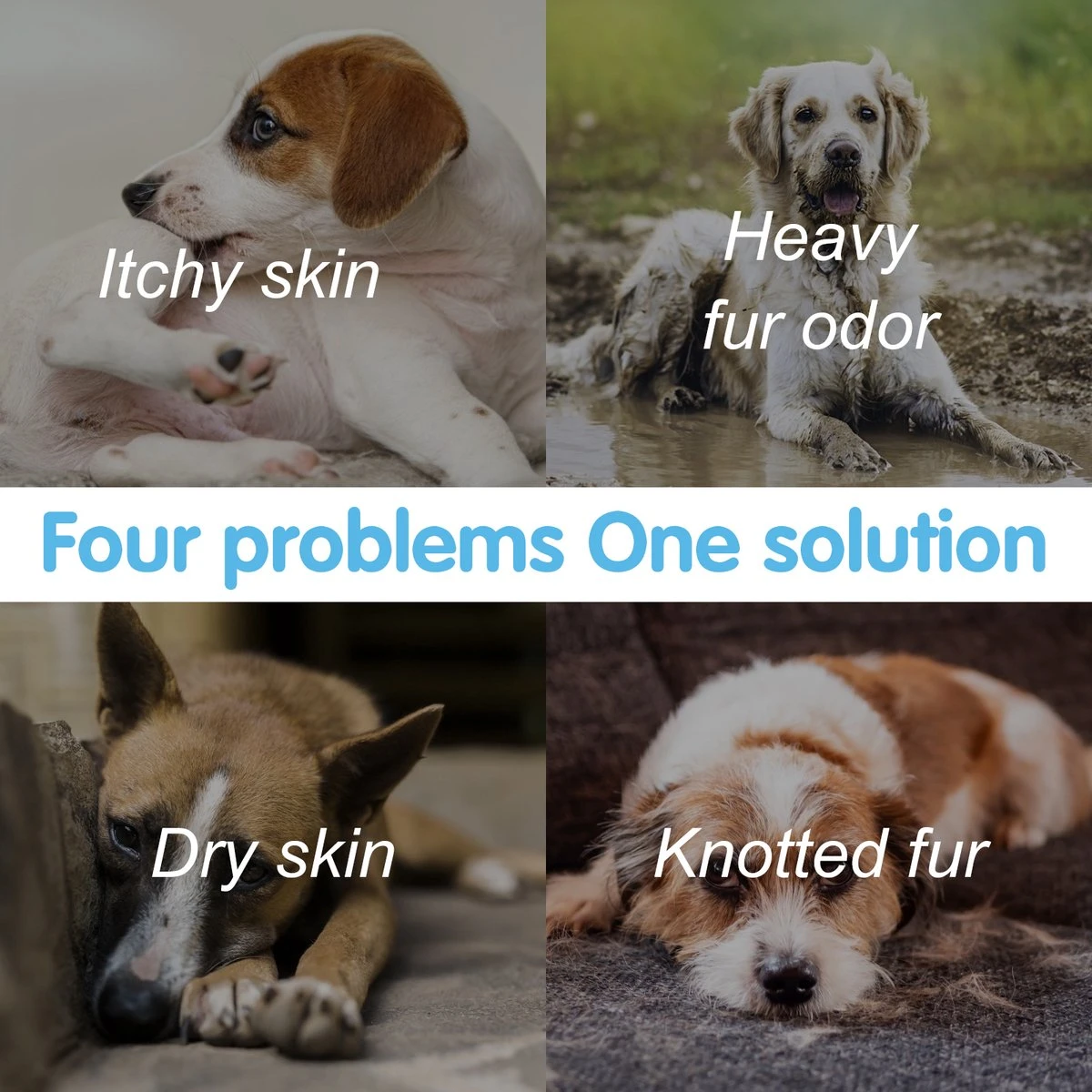 Nobleza ZWN - Hondenshampoo - 500 Ml - Shampoo Voor Honden 5 Nobleza ZWN - Hondenshampoo - 500 Ml - Shampoo Voor Honden - Afbeelding 5