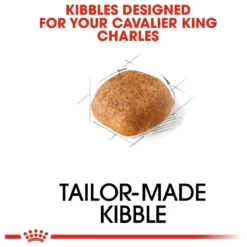 Royal Canin Cavalier King Charles Adult - Hondenvoer - 7,5 Kg 15 Royal Canin Cavalier King Charles Adult - Hondenvoer - 7,5 Kg -Hondenartikelen Winkel 1200x1200 180