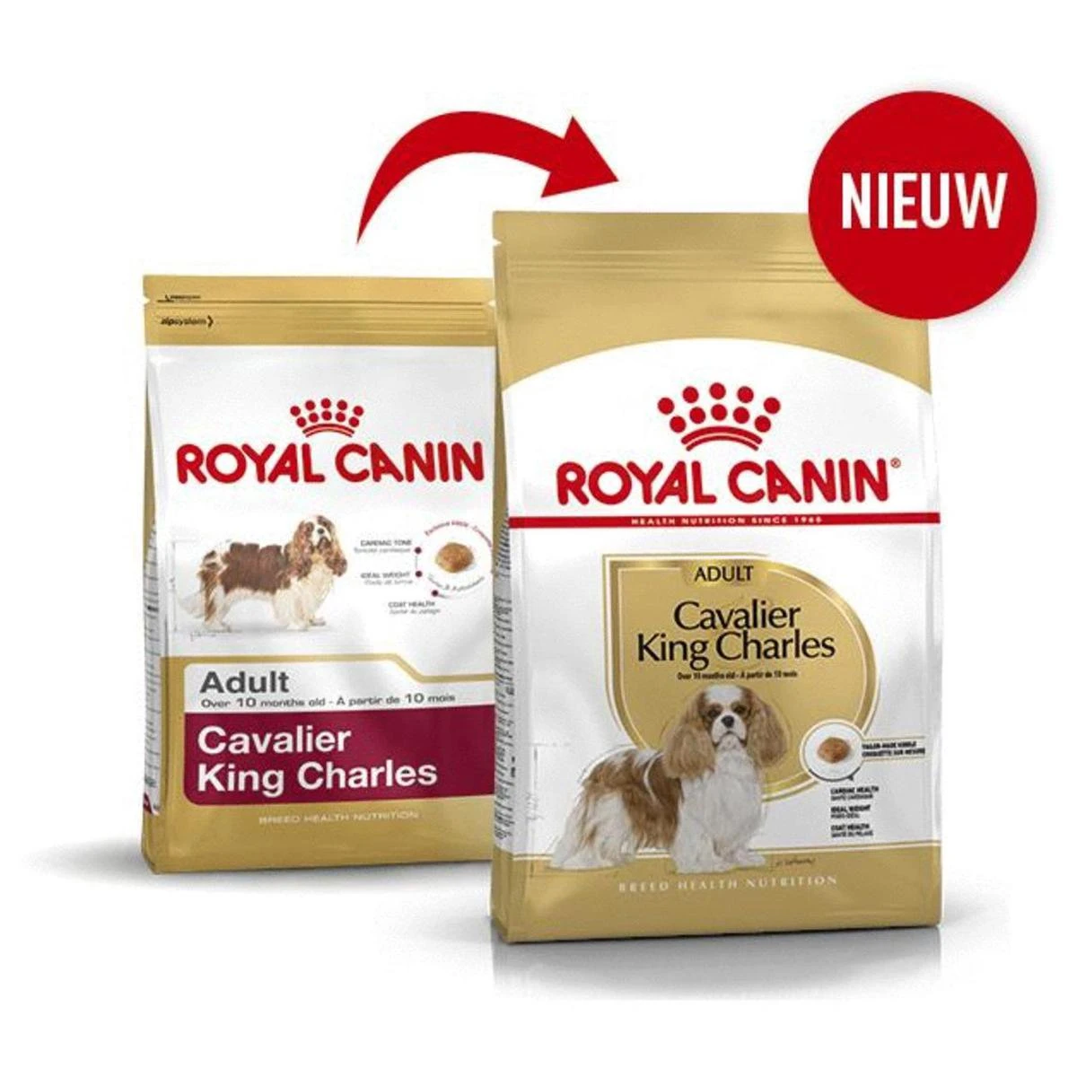 Royal Canin Cavalier King Charles Adult - Hondenvoer - 7,5 Kg 4 Royal Canin Cavalier King Charles Adult - Hondenvoer - 7,5 Kg - Afbeelding 4