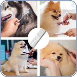 TwinQ Vachtverzorgingsset Hond/kat - Professionele 2-zijdige Ondervacht Kam - Klittenkam Voor Honden En Katten - Verwijderd Klitten En Voorkomt Haaruitval - Incl. Vlooienkam En Tandenborstel 15 TwinQ Vachtverzorgingsset Hond/kat - Professionele 2-zijdige Ondervacht Kam - Klittenkam Voor Honden En Katten - Verwijderd Klitten En Voorkomt Haaruitval - Incl. Vlooienkam En Tandenborstel -Hondenartikelen Winkel 1200x1200 1812