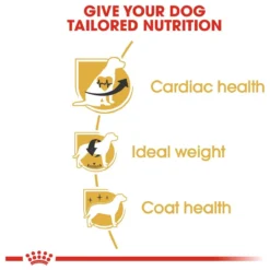 Royal Canin Cavalier King Charles Adult - Hondenvoer - 7,5 Kg 17 Royal Canin Cavalier King Charles Adult - Hondenvoer - 7,5 Kg -Hondenartikelen Winkel 1200x1200 182