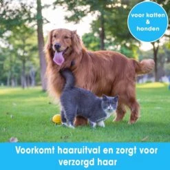 Professionele Ondervacht Kam Voor Hond En Kat S – Hondenborstel – Kattenborstel - Hondenkam –Anti Klit - Haarverwijderaar Voor Huisdieren - Pijnloos - Huisdiervriendelijk – Klittenkam - Voorkomt Haaruitval - Kleine Variant- Black Friday - Sinterklaas -Hondenartikelen Winkel 1200x1200 1835