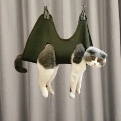 Katten, Honden XS Hangzak Voor Het Makkelijk Knippen Van Nagels, Groen, Green, Maat Extra Small, Waszak, Nagelknippen, Huisdierverzorging | Cat Hangbag | Pet Hangmat | Cat Hammock -Hondenartikelen Winkel 1200x1200 1872