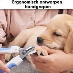 Professionele Nagelschaar|Nagelschaar Hond | Nagelschaar Kat| Nagelknipper Hond En Kat| Nagelknipper Kat| Nagelknipper Hond|NagelTang Dieren|Poot Verzorging -Hondenartikelen Winkel 1200x1200 1902