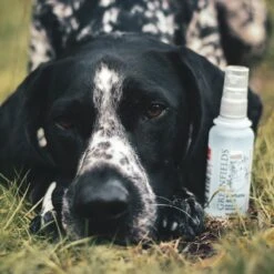 Hondenparfum Spray In 4 Geuren - Greenfields - Alchoholvrije En PH Neutrale Formule Tegen Onaangename Geurtjes - 50ml - Wild 28 Hondenparfum Spray In 4 Geuren - Greenfields - Alchoholvrije En PH Neutrale Formule Tegen Onaangename Geurtjes - 50ml - Wild -Hondenartikelen Winkel 1200x1200 1921